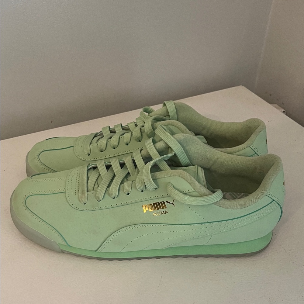 Puma Men's Puma Roma Reserved Pure Green /Icy Blue Sneakers Size10